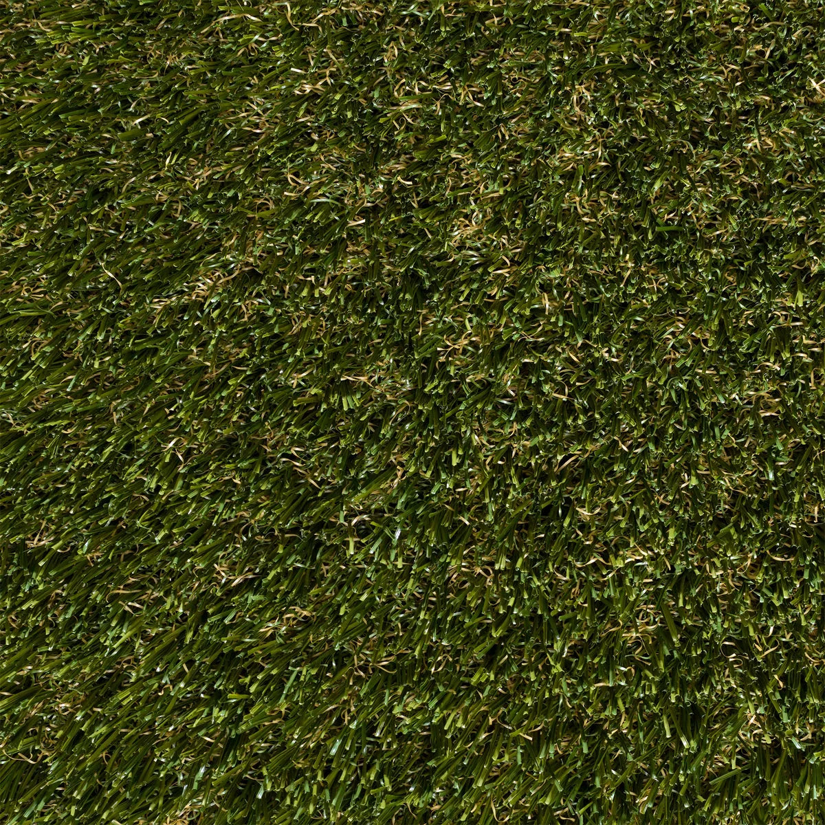 80 oz Platinum Artificial Turf
