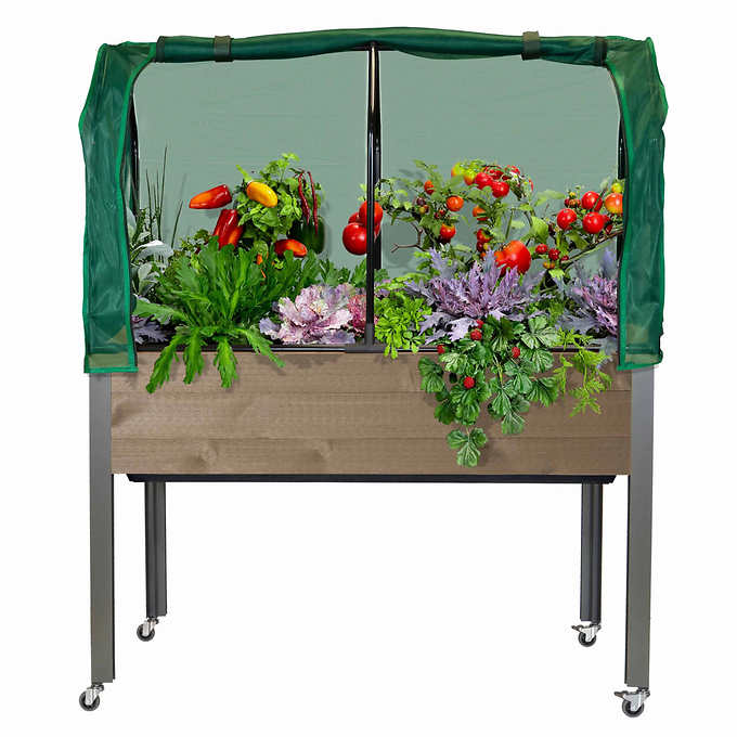 Self-Watering Elevated Spruce Planter with Greenhouse & Bug Cover