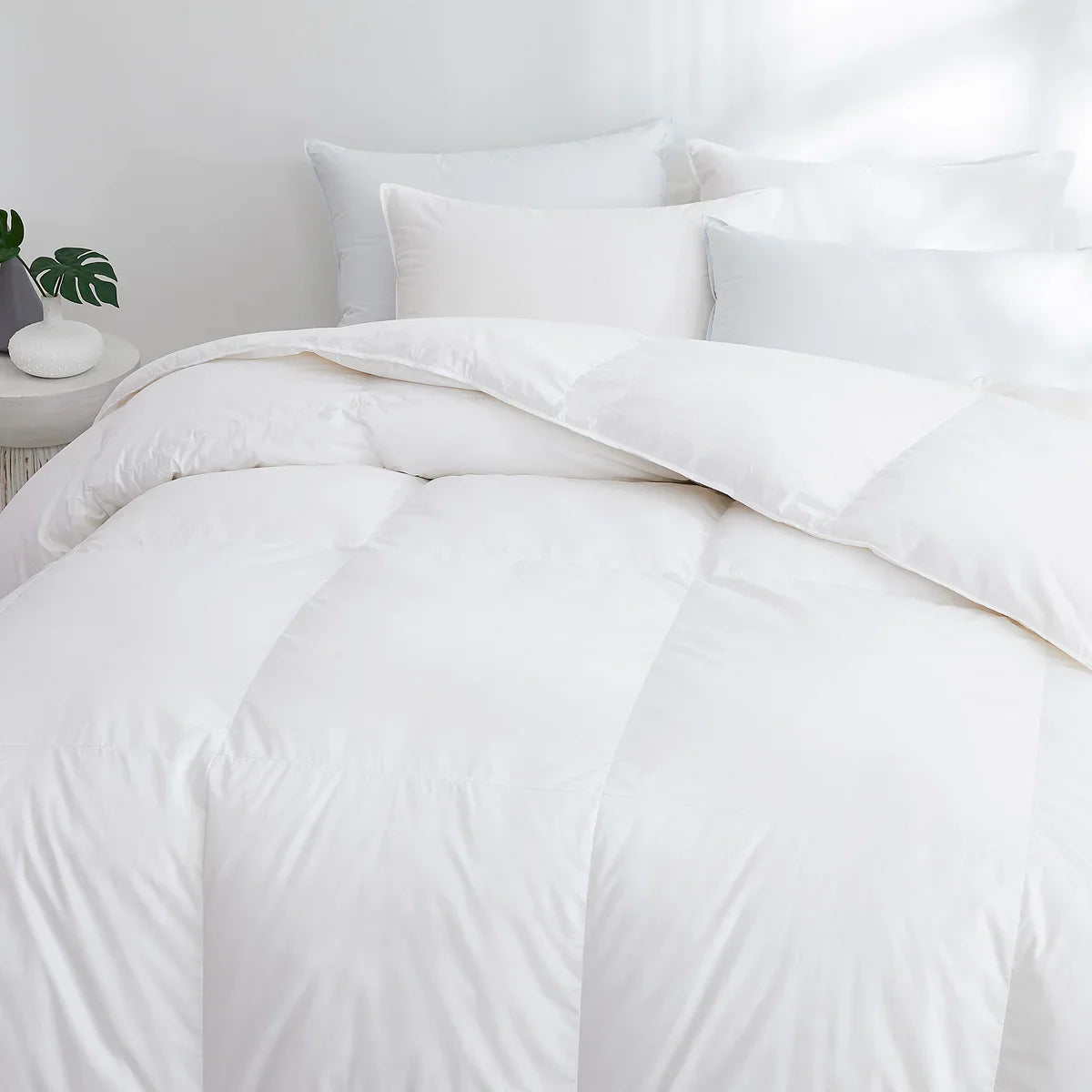 Stearns and Foster 800 Fill Power White Goose Down Comforter
