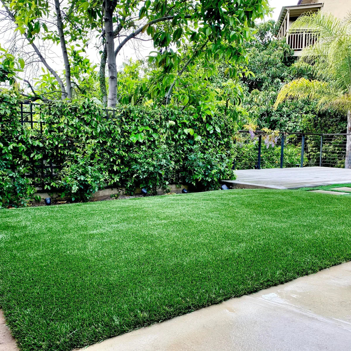 80 oz Platinum Artificial Turf