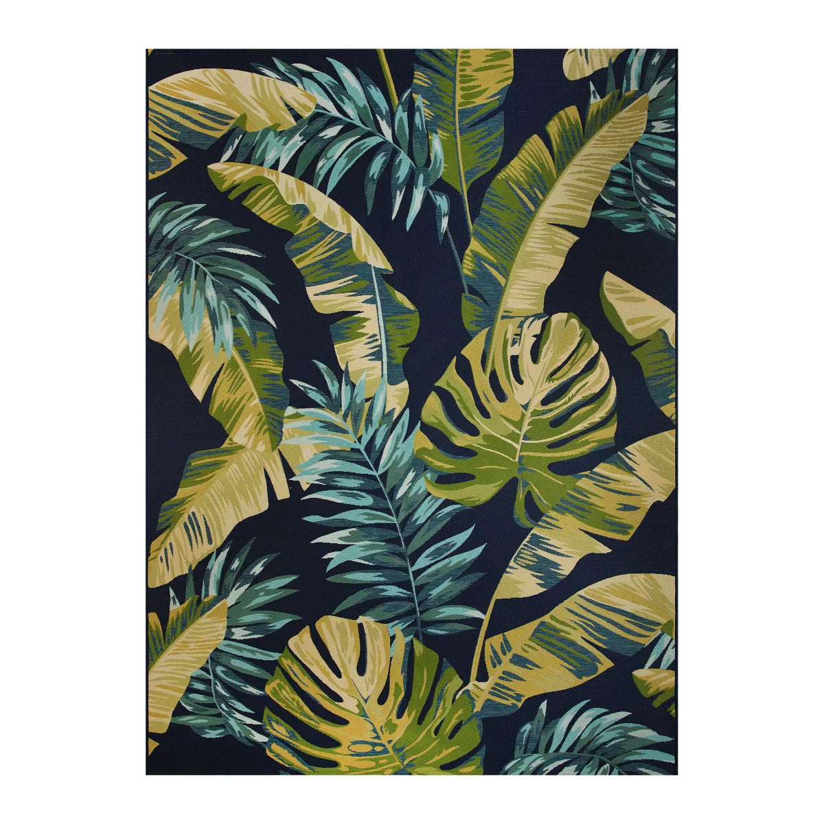 Mineral Springs Indoor/Outdoor Area Rug, Biscayne