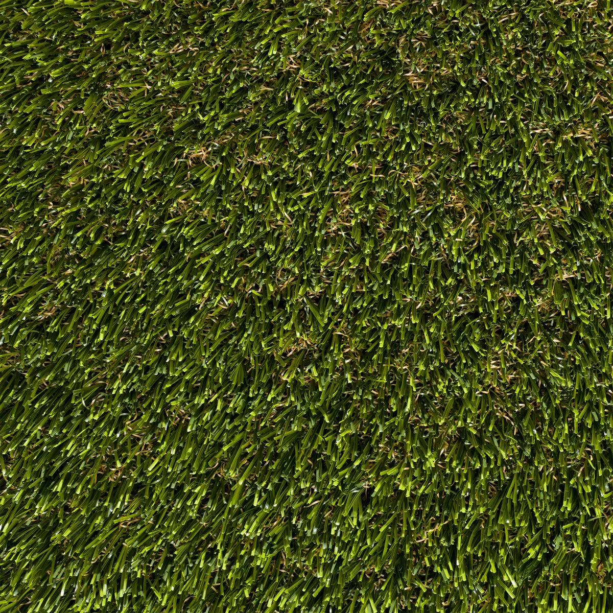 80 oz Platinum Artificial Turf