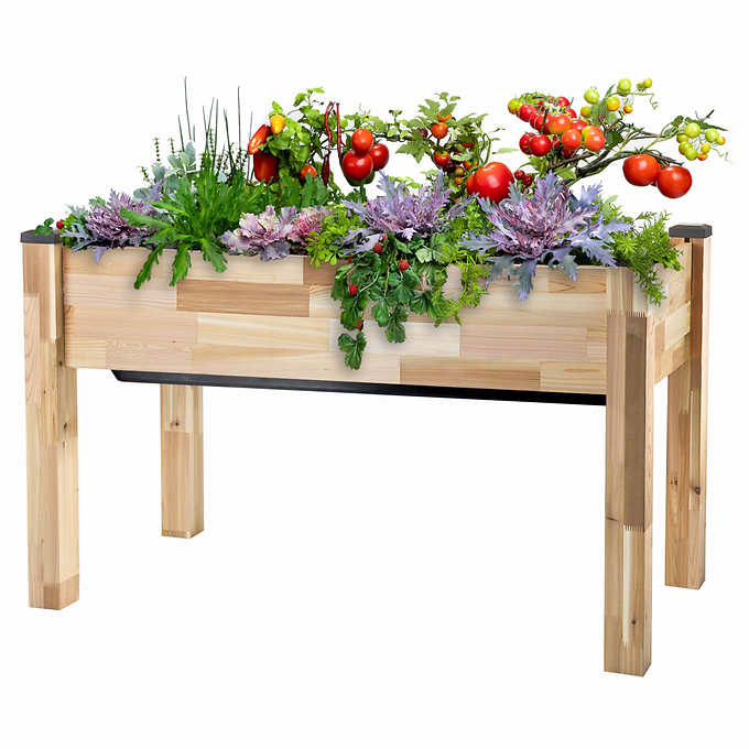 Self-Watering Elevated Cedar Planter with Greenhouse and Bug Cover