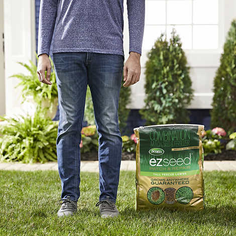 Scotts Seed Patch & Repair Tall Fescue Lawn Patch 25 lb