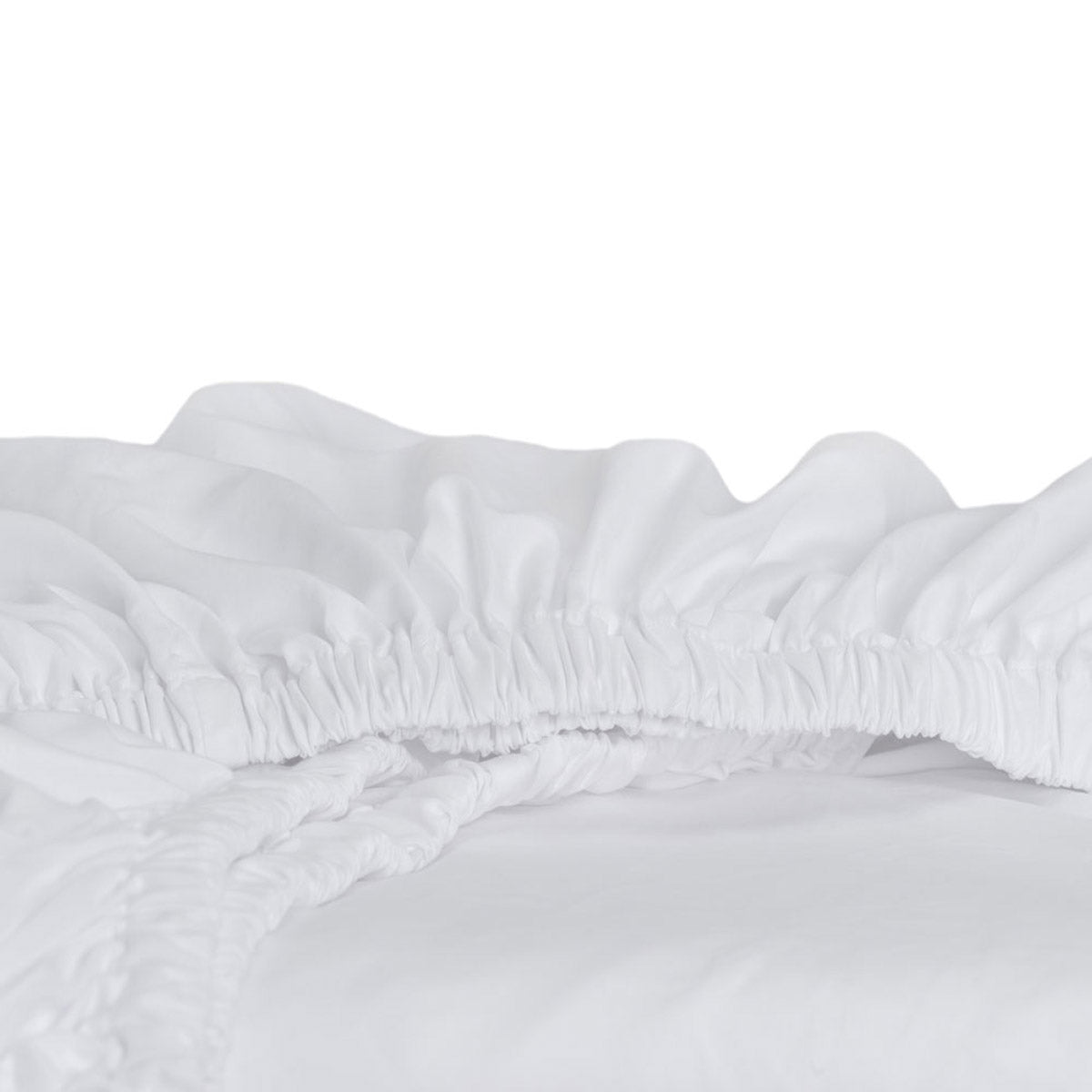 Jennifer Adams Home Eternal Sheet Set
